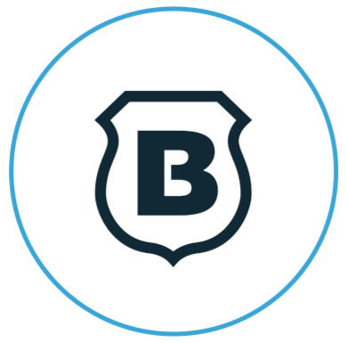 Brinks Security